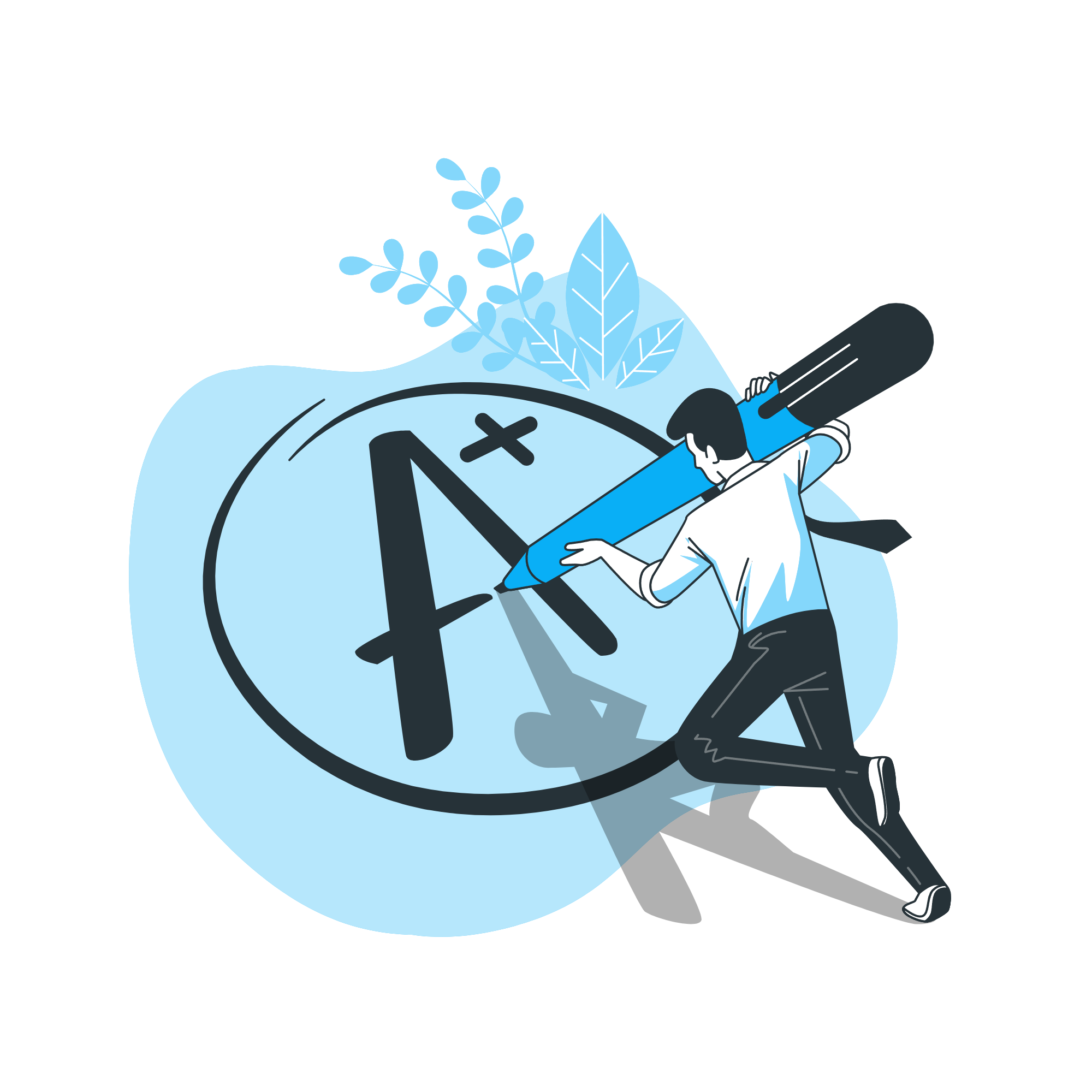 Dissertation Writing Help